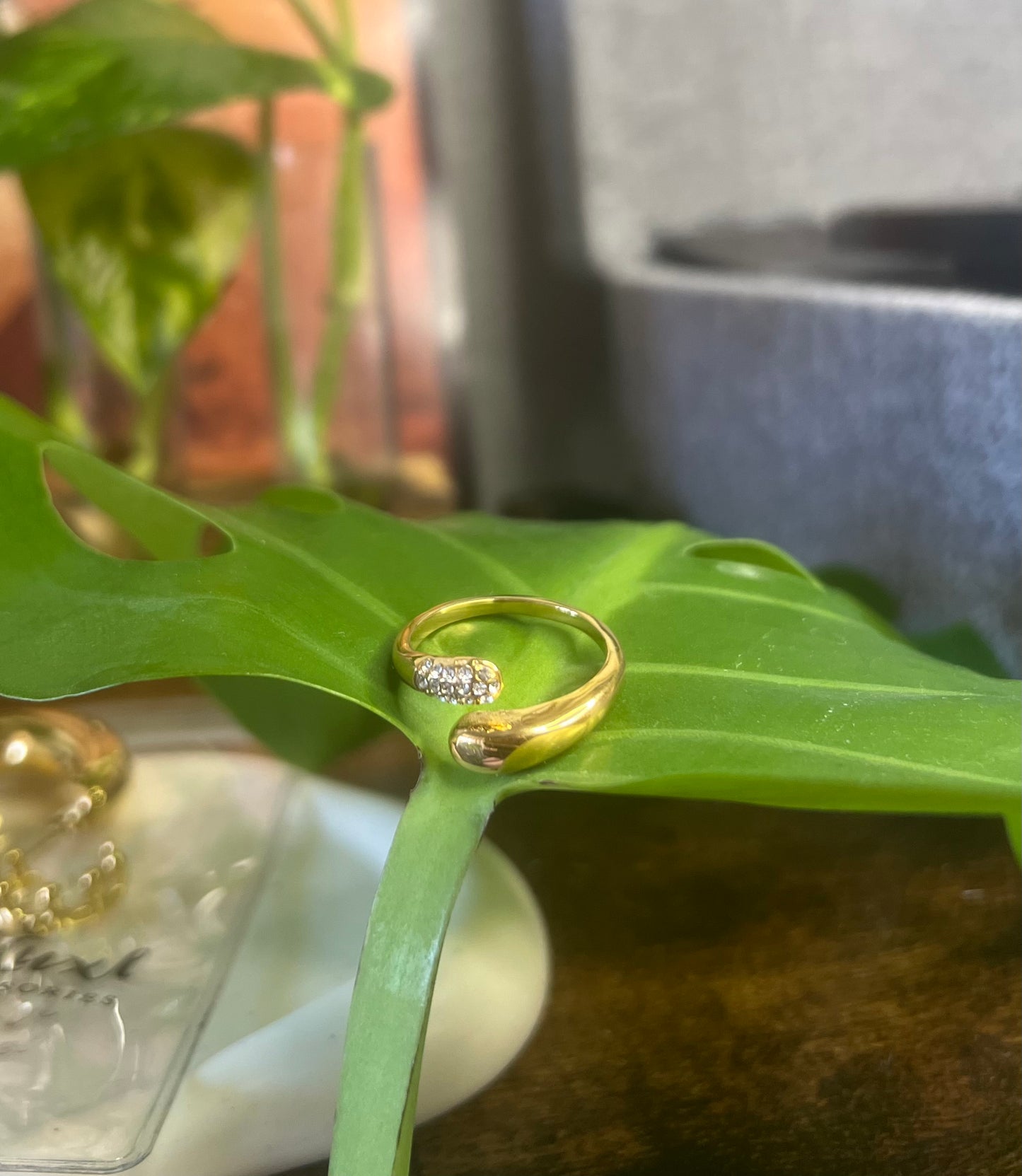 Cici Ring