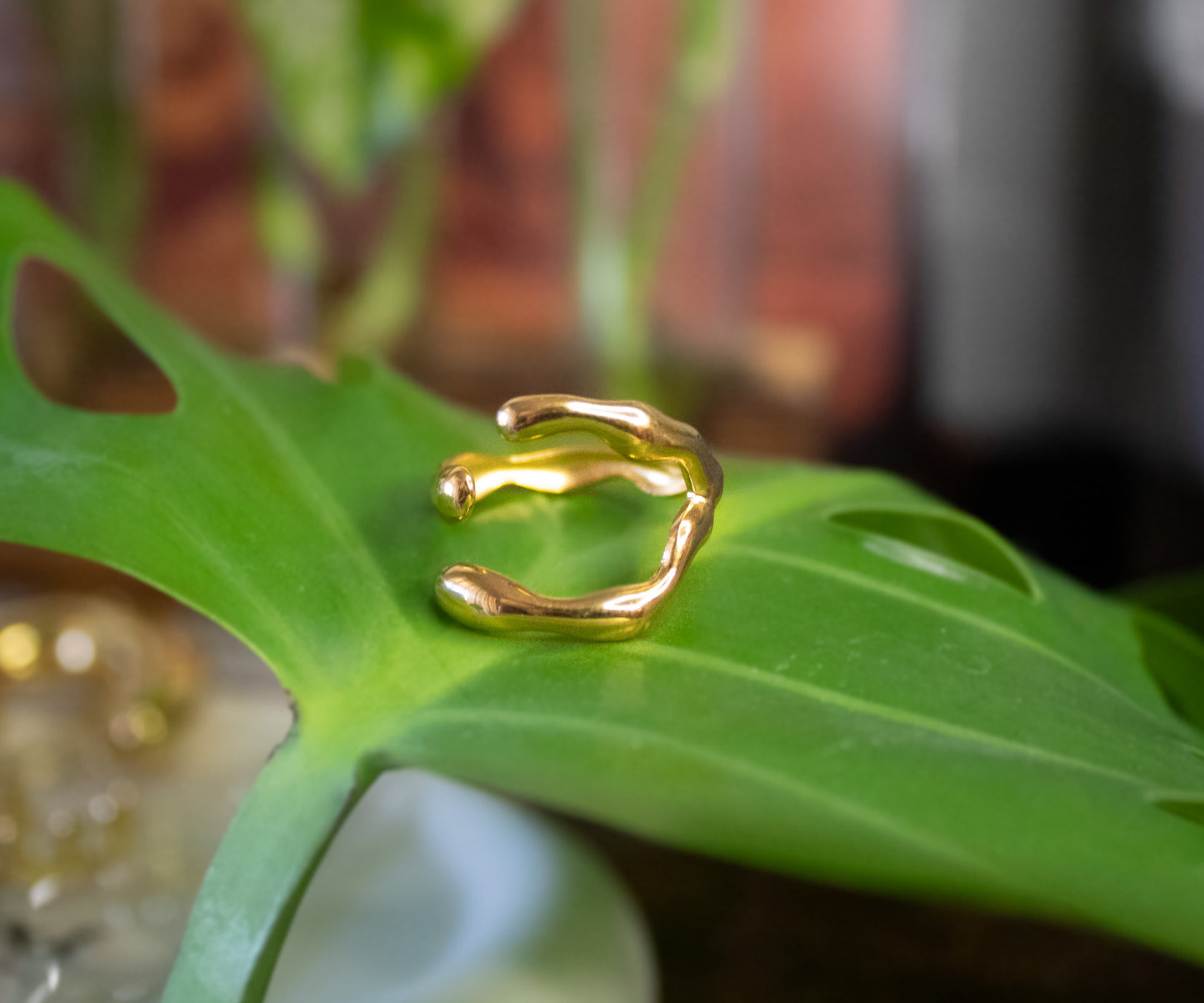 Kimmy Ring